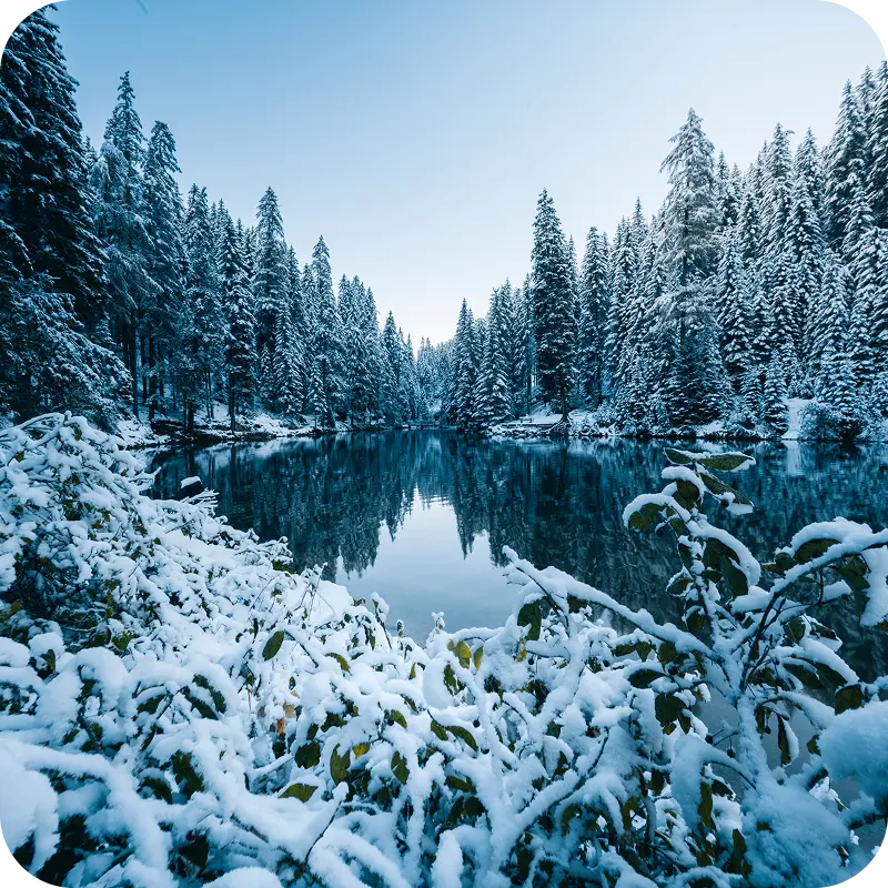 A serene lake framed by trees blanketed in snow, reflecting the tranquil winter landscape.