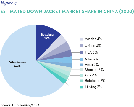 fig4-Estimated down jacket market share in China.png