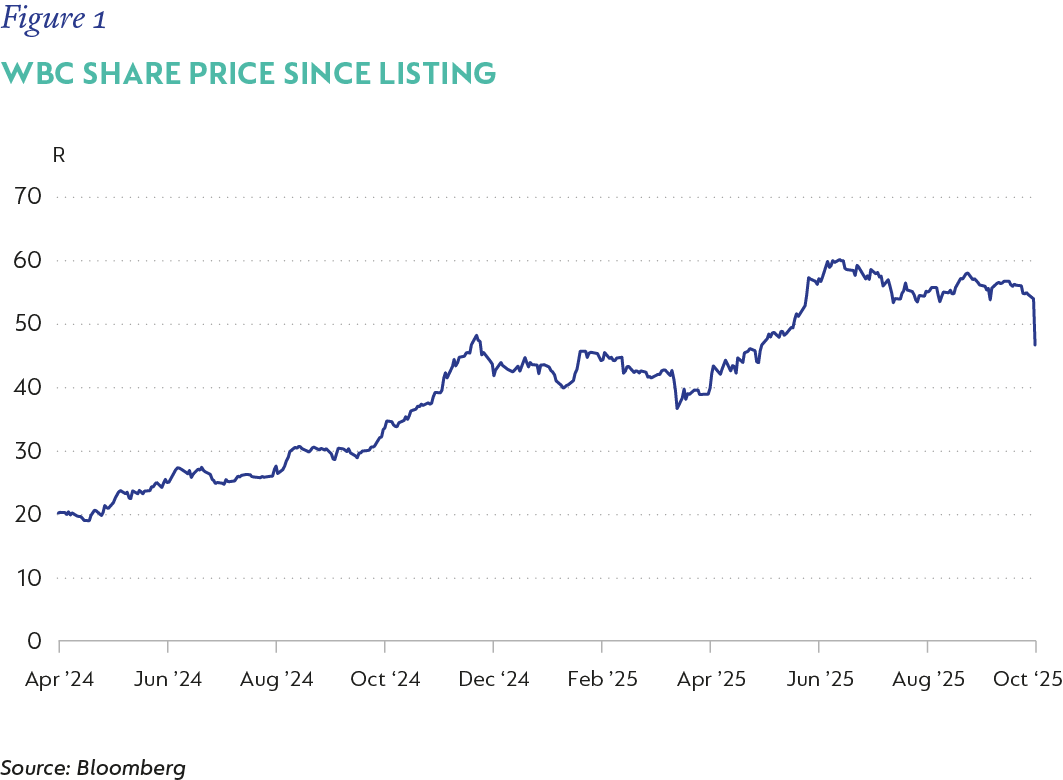 Fig 1_WBC Share Price_V3.png